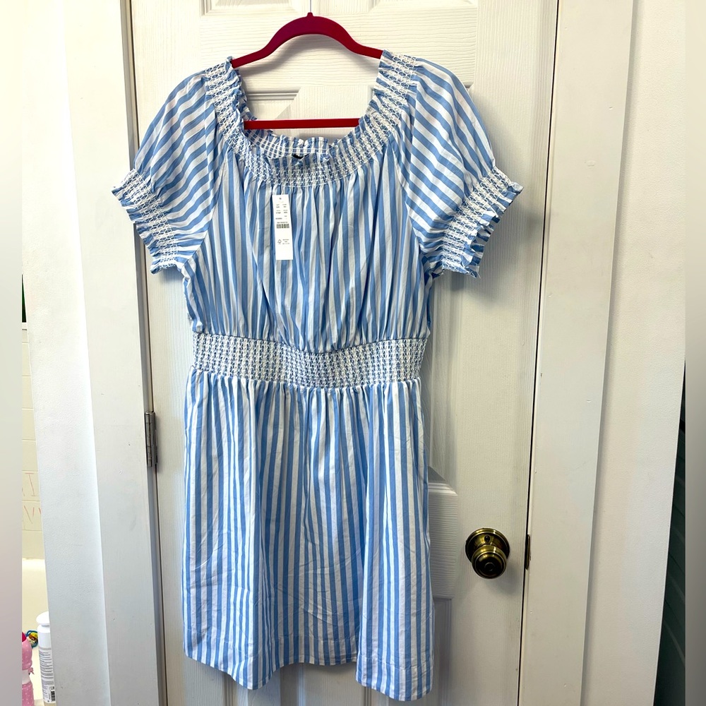 NWT J Crew blue white stripe dress 💙🤍